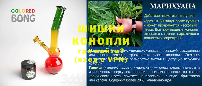 Каннабис OG Kush  Алагир 